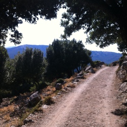 Path to Monte Novo San Giovanni Orgosolo